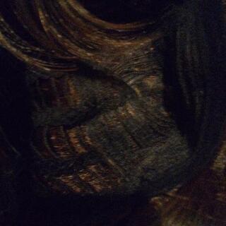 耐熱性アシストウィッグ ショート(ツヤあり)の画像