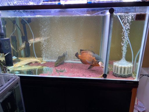 90cm水槽セット