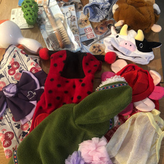 わんちゃん服、オモチャ、ケアグッズ