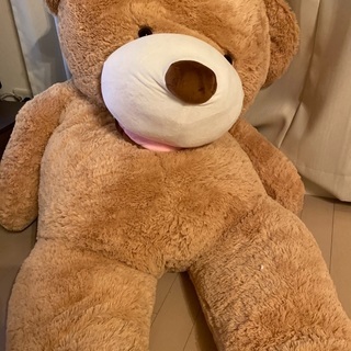2mくらいのくまさんです。