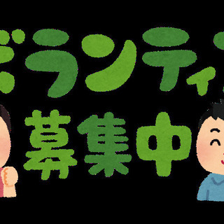 湘南でボランティア活動
