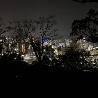 夜に一緒にウォーキングしませんか？