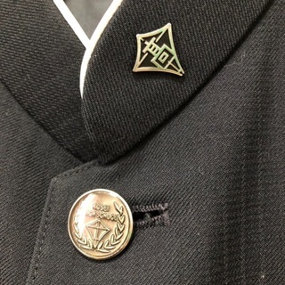 甲西高校　学生服上下　制服　シャツの画像