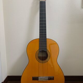 値引きしました　クラッシックギター