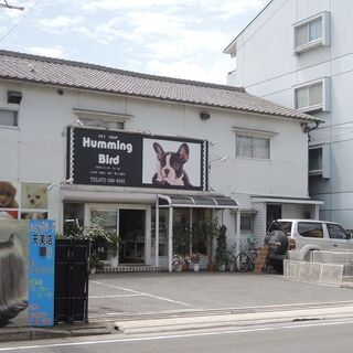 パート募集　子犬の世話　犬舎の清掃　一般業務　10時から4～6時...