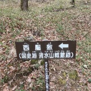 みつばツツジの群生地、咲き始め山の駅付近ハイキング と清水山城館跡ハイキング   自由行動です    - 育児