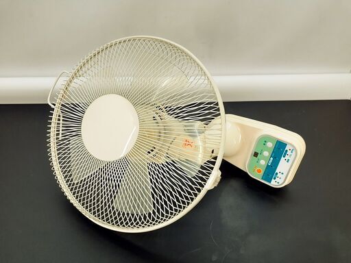 壁掛け扇風機 30㎝ FLE-KR304Y【訳アリ】