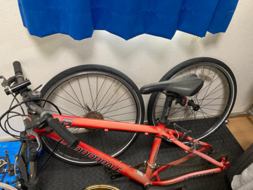 キャノンデール　F6