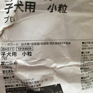 ドッグフード