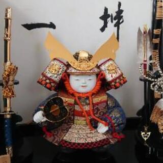 おぼこ大将（引き取っていただける方見つかりました）