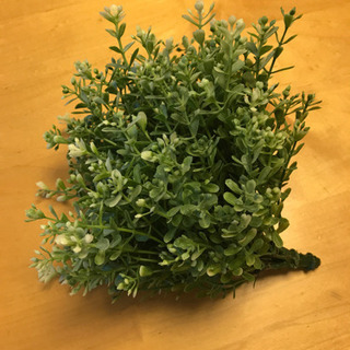 IKEA フェイクグリーンの画像