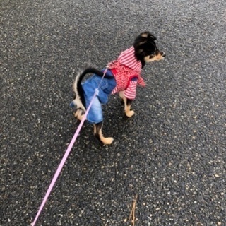 話進め中です。
