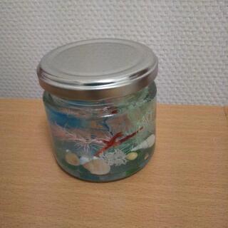 seaハーバリウム