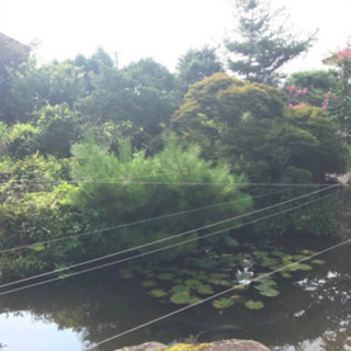 お庭のお手伝い