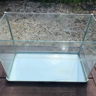 (取り引き中)60センチ水槽