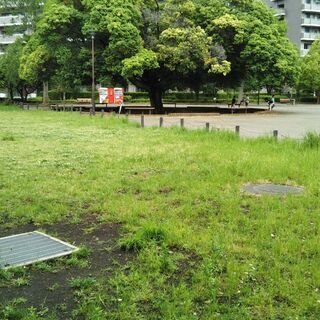 東京の方もOK！！6/26（土）8:55～相模原・橋本の公園で野...