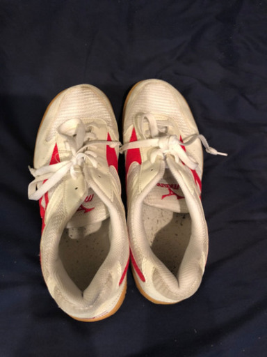 【値段交渉可能！】MIZUNO スポーツシューズ