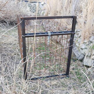 新品 箱罠 イノシシ 有害鳥獣捕獲用 わな