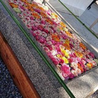 神社・御朱印