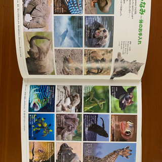 図鑑3点セットの画像