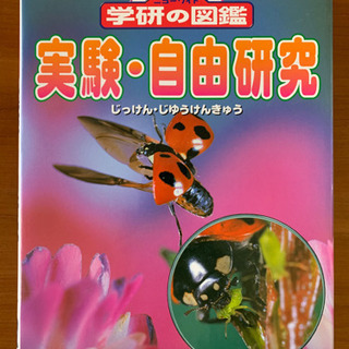 図鑑3点セットの画像
