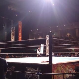 新日本プロレスを観てる人