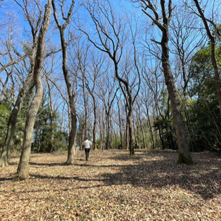 山林　さいたま市隣接する場所
