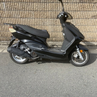 デイリン！デルフィーノ125！