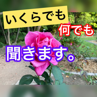 いるようでいなかった❓あなたの相談やストレス解消の道具に