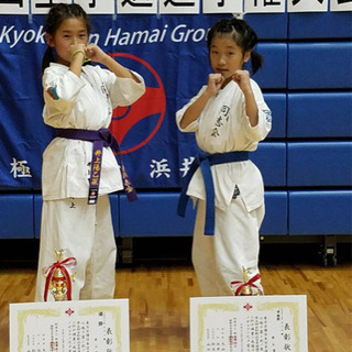 フルコンタクト空手、グローブ空手の画像