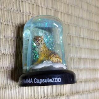 旭山動物園　スノードーム　雪上に佇むトラ