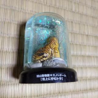 旭山動物園　スノードーム　雪上に佇むトラの画像