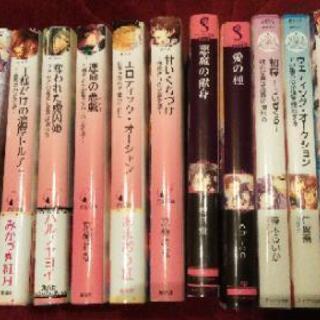 ティーンズラブ文庫 ジュリエット文庫 シフォン文庫 ソーニャ文庫...