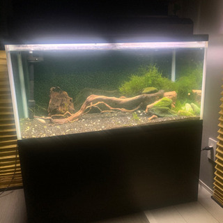 90cm水槽?アクアリウムフルセット！！値下げ！！