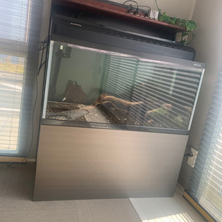 90cm水槽?アクアリウムフルセット！！値下げ！！
