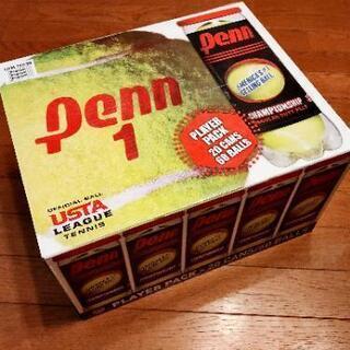 ★最終値引き 3月28日まで★PENN チャンピオンシップ テニ...