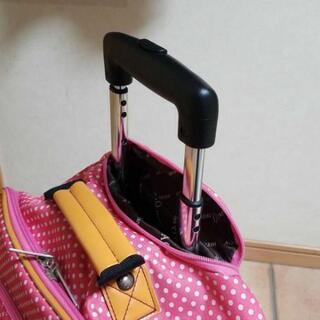 アツキオオニシA.O.キャリーの画像