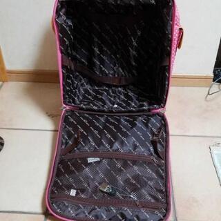 アツキオオニシA.O.キャリーの画像