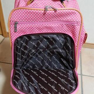 アツキオオニシA.O.キャリーの画像