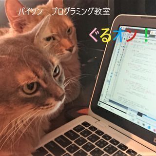 【辻堂】ぐるオン！～プログラミング体験を人気のパイソンで！（最寄り駅　辻堂駅）の画像