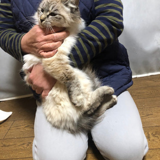里親様が決まりました！