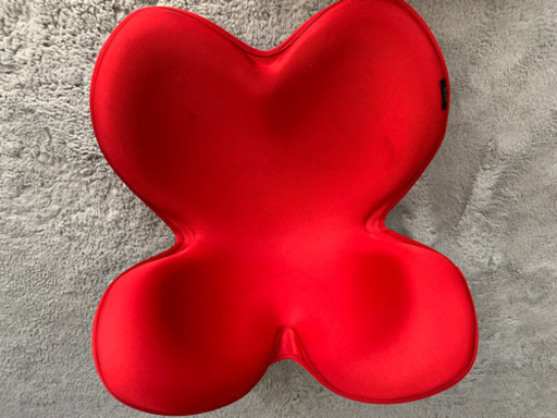 海外発、骨盤矯正、MTG 値下げ！】正規・品-MTG style骨盤矯正-（廃盤品）