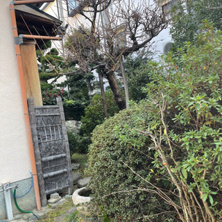 お庭の清掃作業、アパートやマンションの清掃の画像