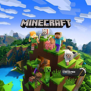 Switch マイクラ仲間募集