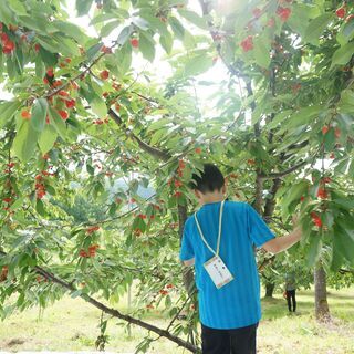 未経験・ブランク歓迎!保育の現場で活躍していただく児童指導員(保育士)の画像