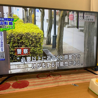 テレビ探しています！