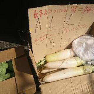みんなのしょくどう♪ 野菜
