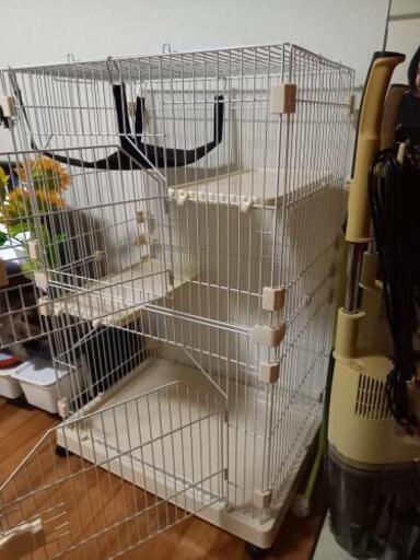 再度　投稿です！値引きしました！