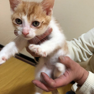 ありがとうございました(*^^*)