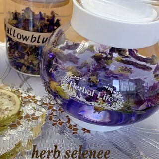 2021アピアカルチャー春 メディカアロマとハーブティー講座の画像